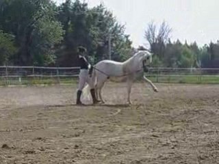 SPECTACLE CHEVAL CORNILLON 13                    5409