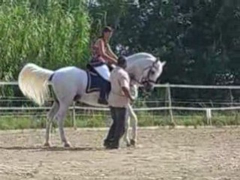 SPECTACLE CHEVAL CORNILLON13 5421