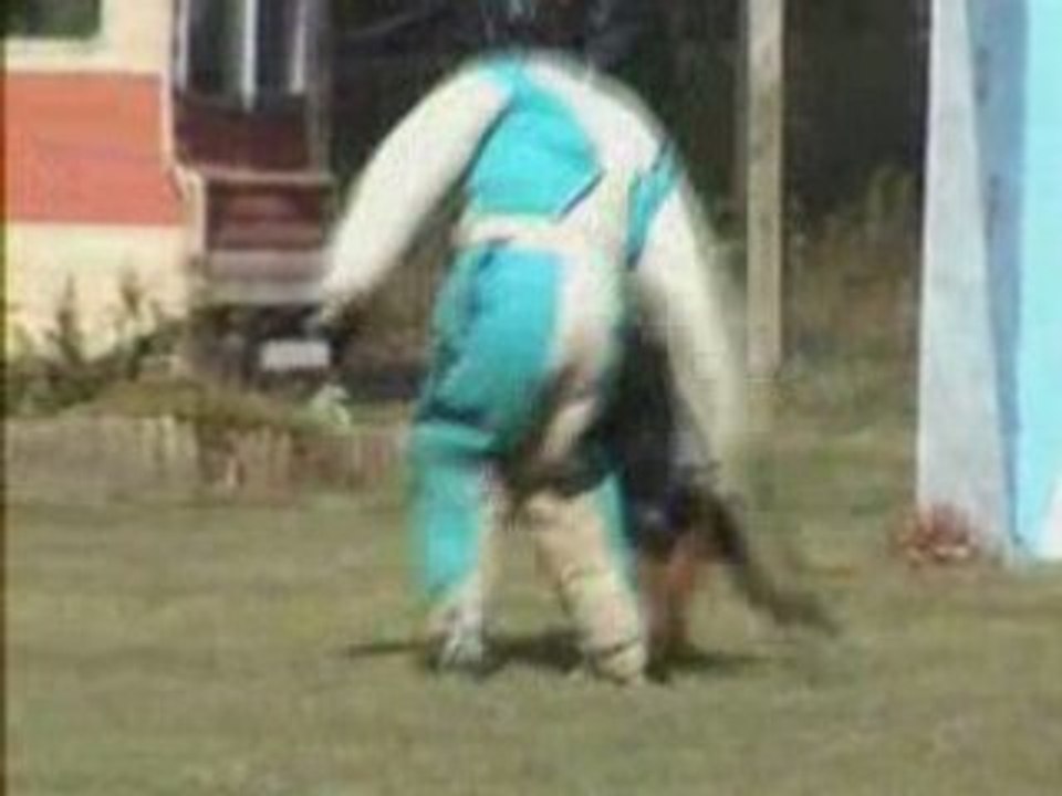 Virus concours de OYE PLAGE