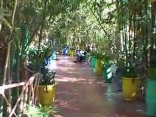 Marrakech: Le Jardin Majorelle