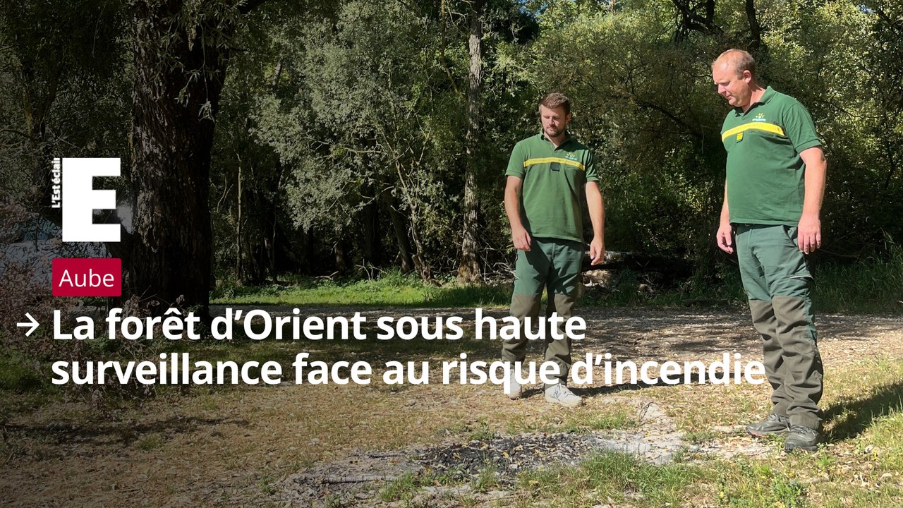 La forêt d’Orient sous haute surveillance face au risque d’incendie