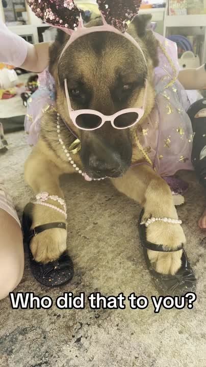 Kids Adorably Dress Up German Shepherd Like Princess