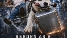 REBORN AS A HUSKY：FATAL PURSUIT  🔥🔥🔥FULL MOVIES ENGLISH SUB 2026