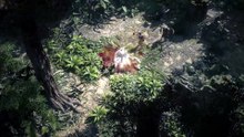 Path of Exile 2 gibt seinen vollständigen Release im Trailer bekannt