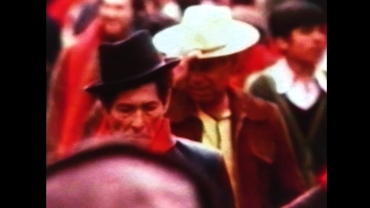 Under the Flags, the Sun (Bajo las banderas, el sol, 2025)