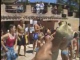 Danses de l'été camping esterel Caravaning Archive 1998