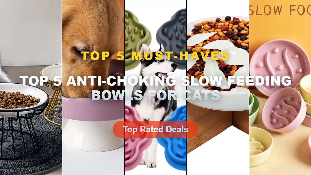 Top 5 Anti-Choking Slow Feeding Bowls For Cats:...