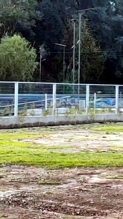 Jugadoras se tiraron al piso en pleno partido al escuchar disparos