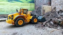 Big dog inspects the work site.