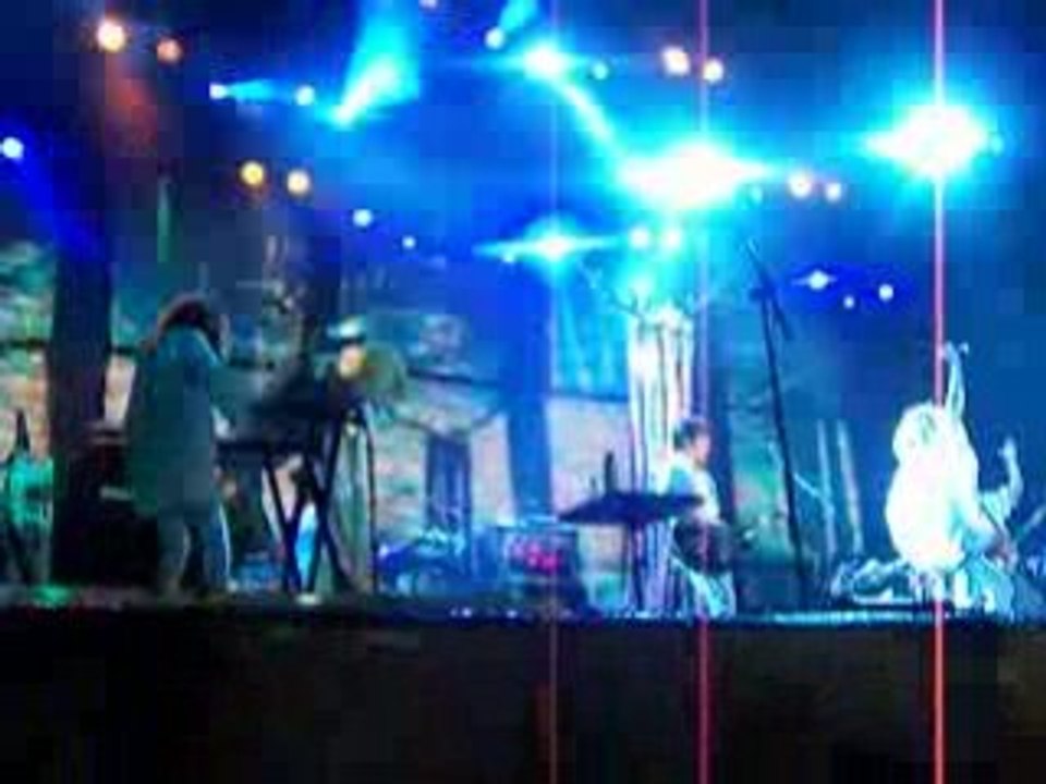 Goldfrapp - Live @ Dour 08 (4)