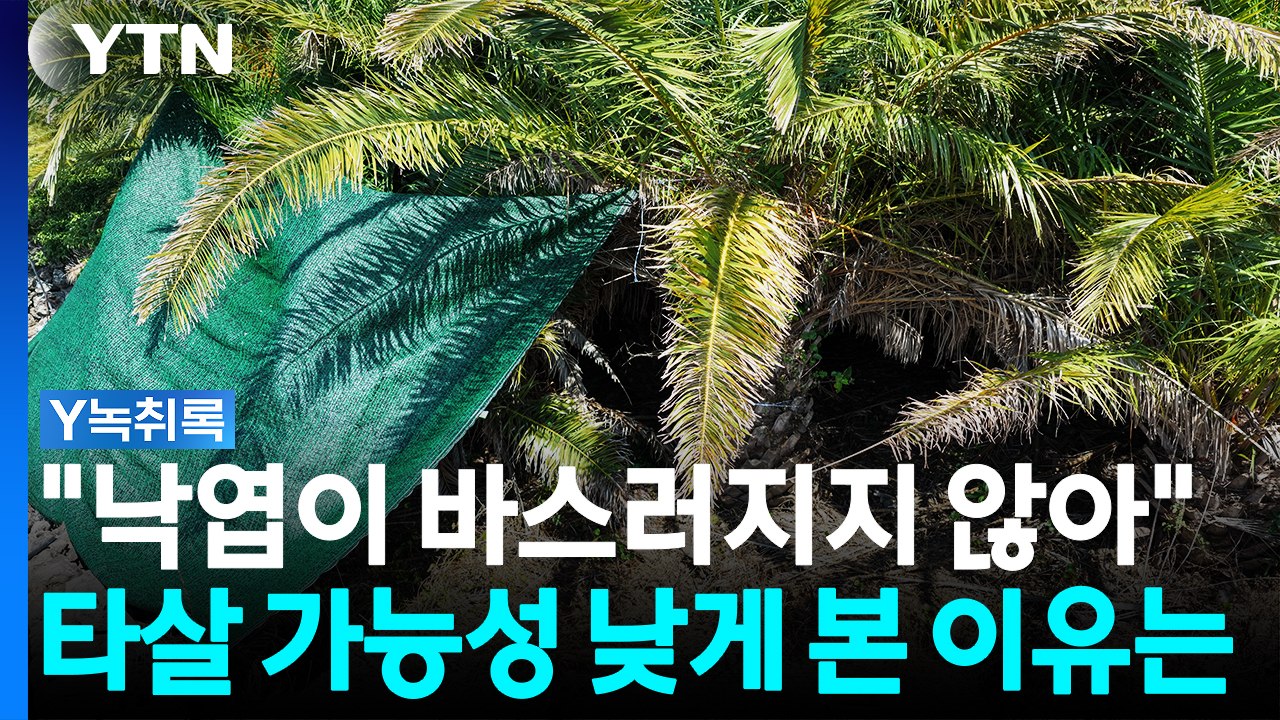 "낙엽이 바스러지지 않았다"...경찰이 타살 가능성 낮게 본 이유 [Y녹취록] / YTN