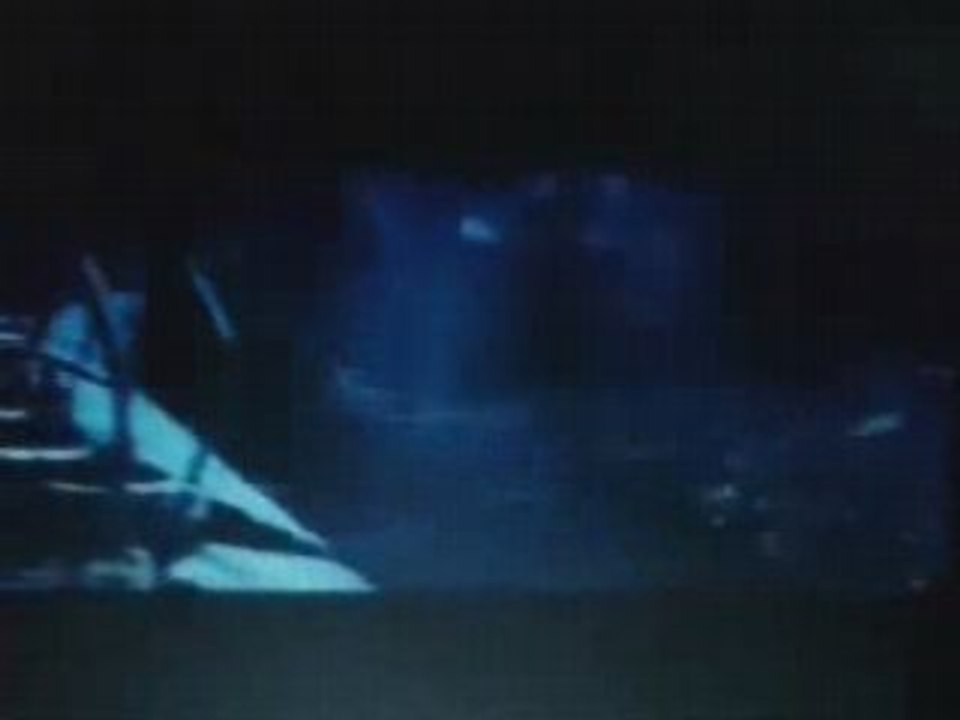 Seigneurs des Anneaux AMV (les deux tours)