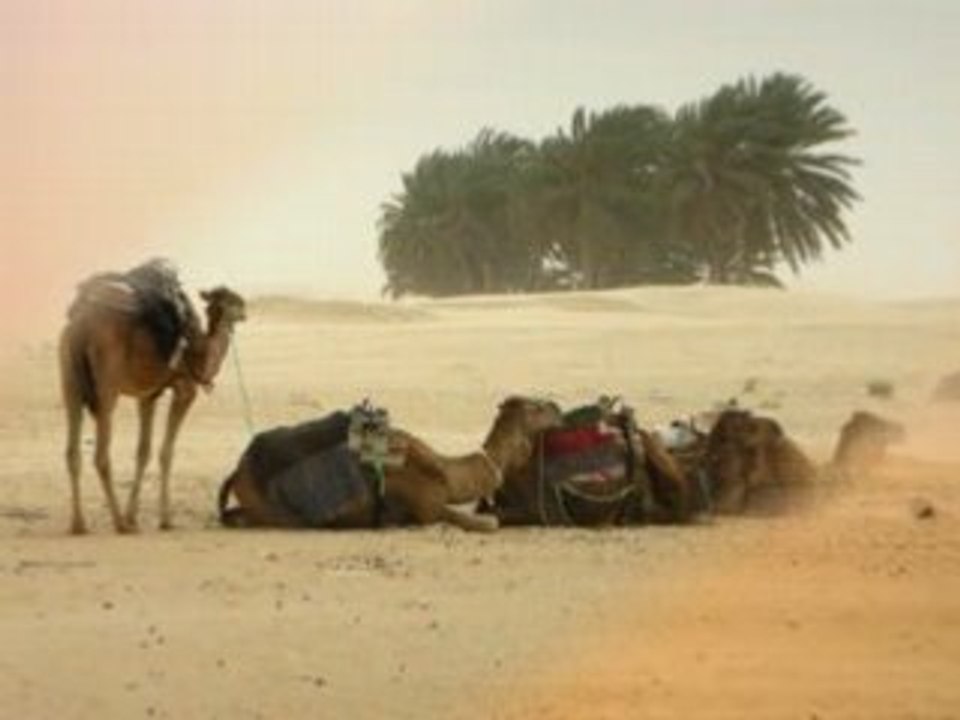 Tempête de sable à Douz