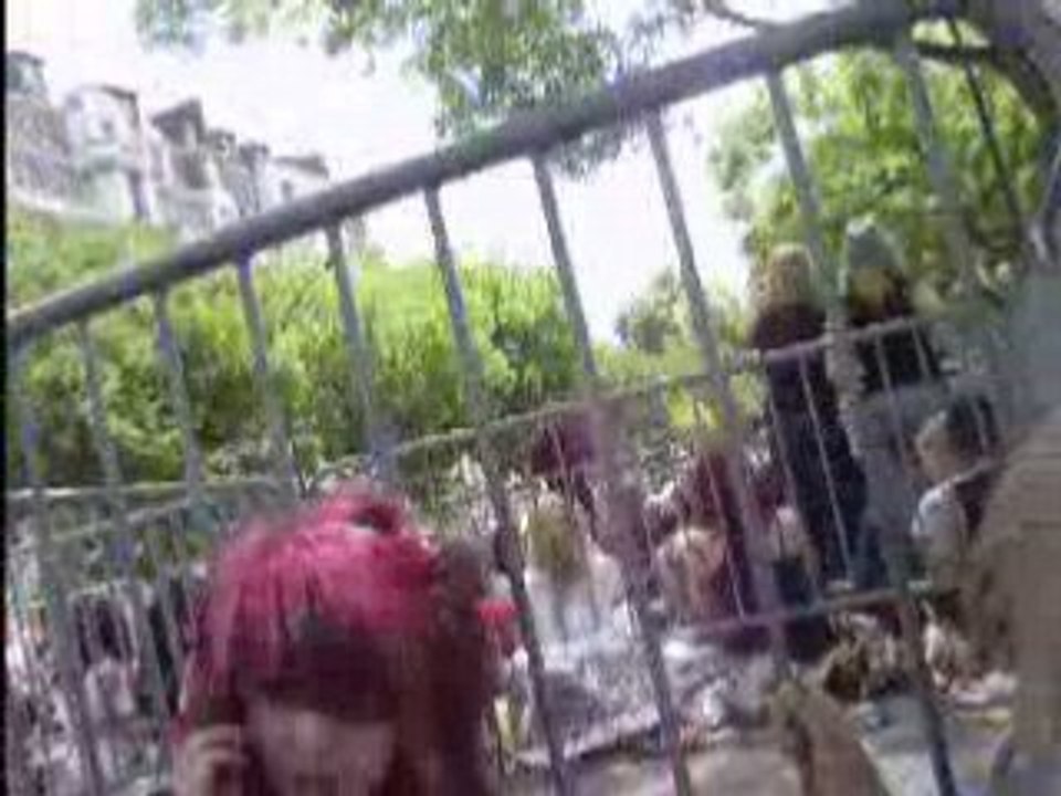 concert parc des prince