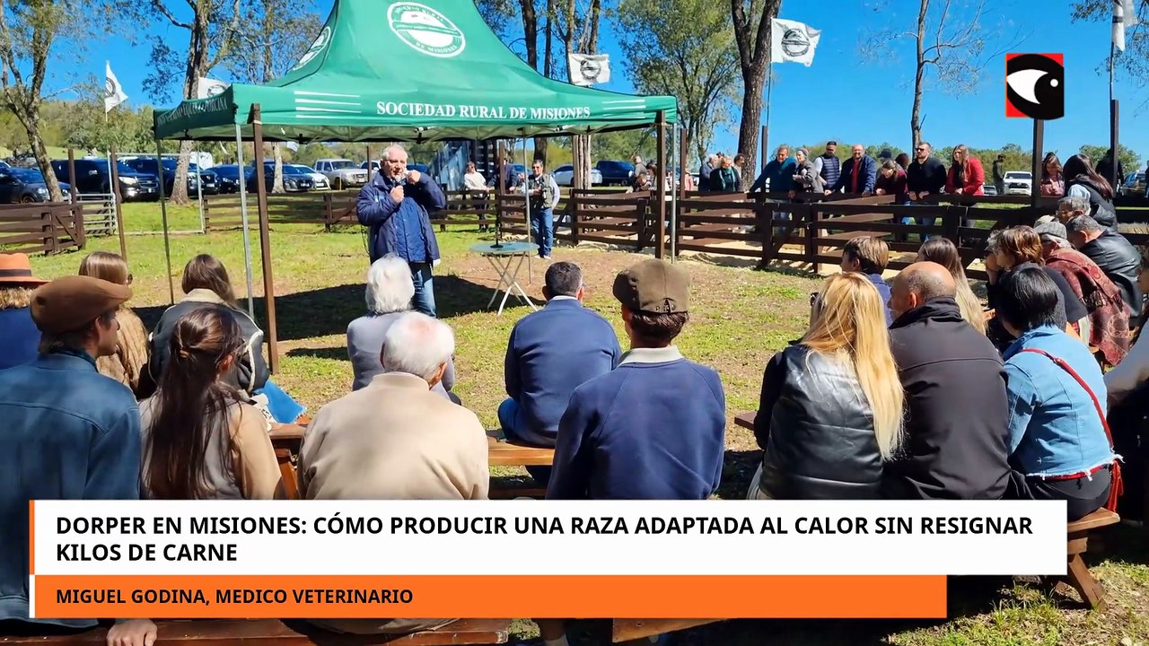 DORPER EN MISIONES CÓMO PRODUCIR UNA RAZA ADAPTADA AL CALOR SIN RESIGNAR KILOS DE CARNE