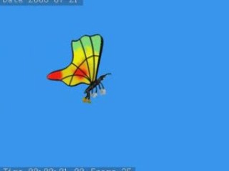 Papillon PClan 002 vue2