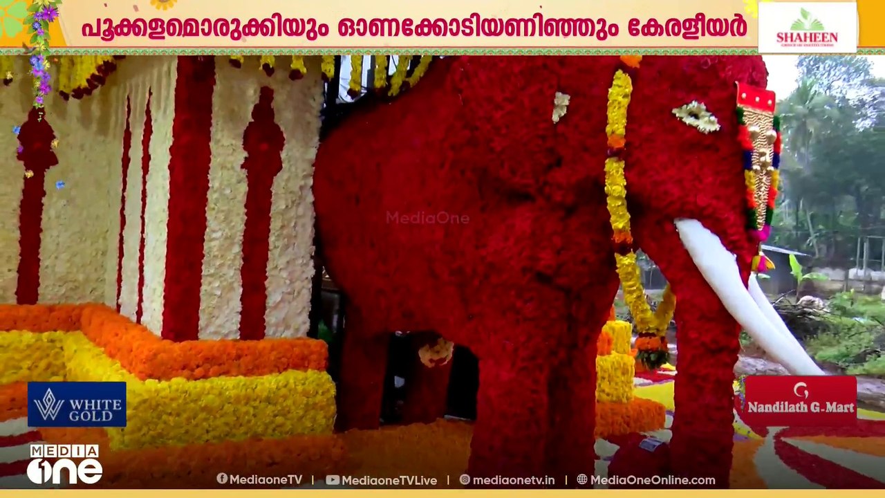 'എല്ലാം ഒറിജിനൽ പൂക്കളാണ്, ഓരോ വർഷവും ഓരോ തീമിലാണ് അത്തപ്പൂക്കളം ഒരുക്കുന്നത്..'