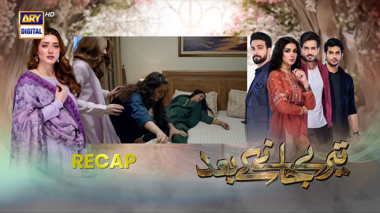 Teray Janay Kay Baad Episode 34 -   13 Sep 2024   ARY Digital Drama