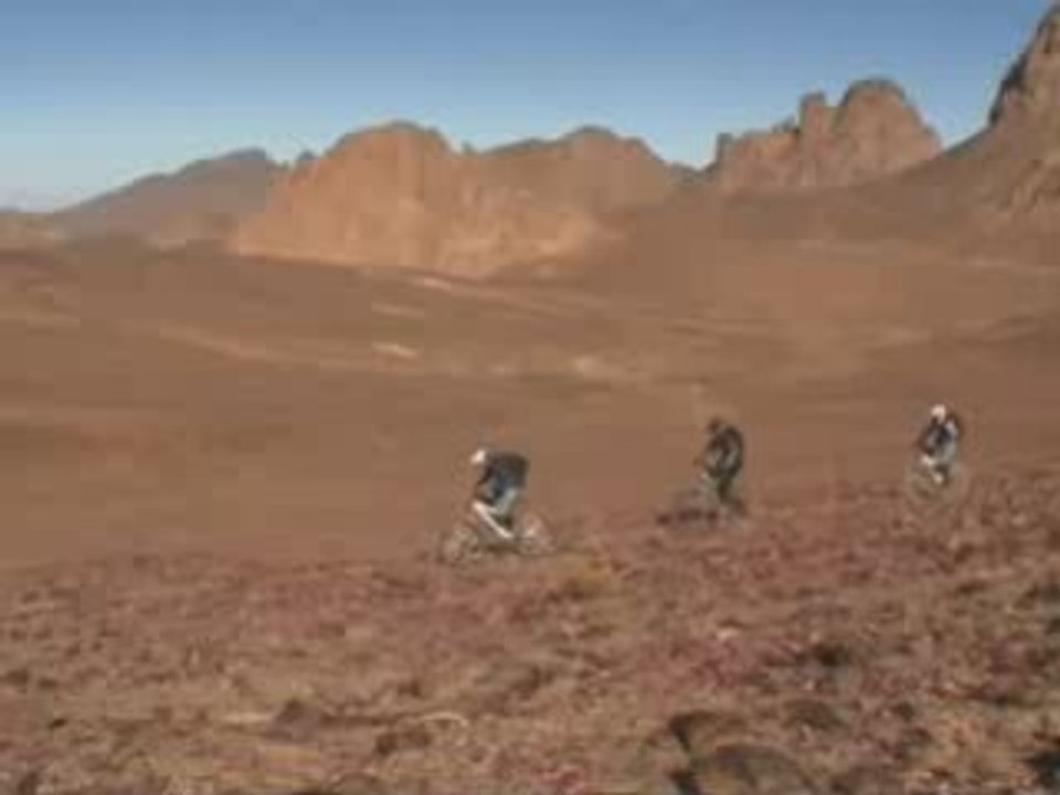 Tribe Algérie
