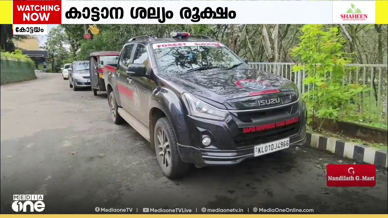 'ഉടൻ വേണം സോളാർ ഫെൻസിങ്'; മുണ്ടക്കയത്ത് വനംവകുപ്പിന്റെ ഇടപെടൽ ആവശ്യപ്പെട്ട് നാട്ടുകാർ