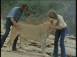 Christian the Lion
