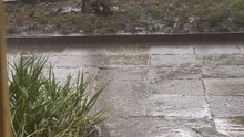 Rainy day