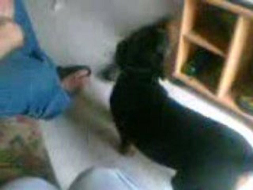 mon rott