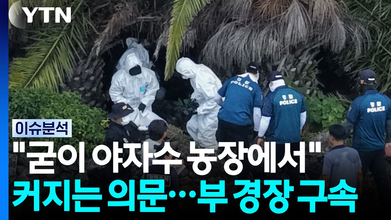 "굳이 야자수 농장에서" 커지는 의문...허위종결 부 경장 구속 [뉴스나우] / YTN