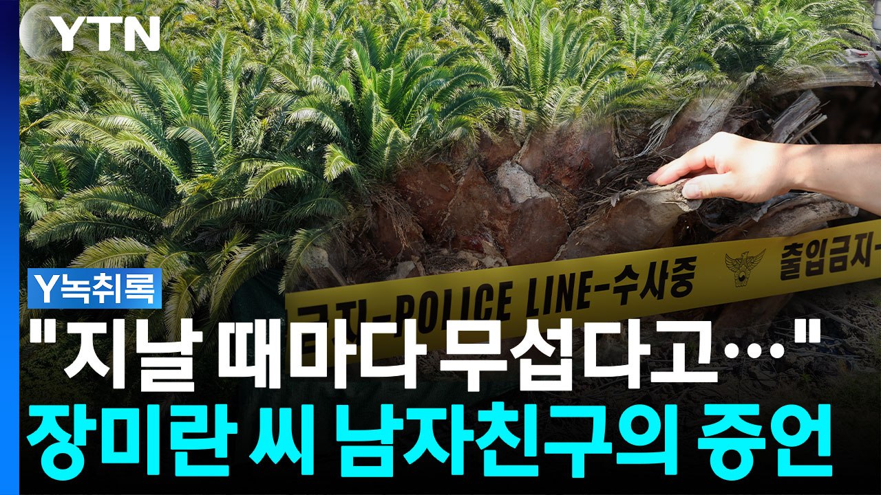 "지나다닐 때마다 무섭다고 했던 곳"...야자숲 미스터리 [Y녹취록] / YTN