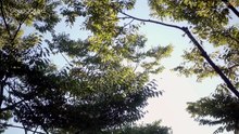 Fixed The Error (2026) Episode 6 End Eng Sub