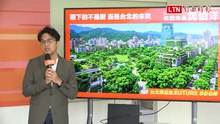 樹木是城市最漂亮遮陽傘！ 沈伯洋推4大改革：都市森林維運基金10億元