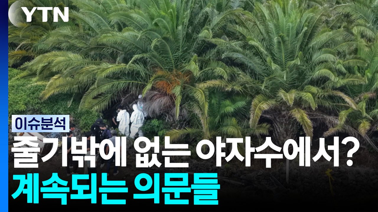 줄기 밖에 없는 야자수에서?...계속되는 의문들 [뉴스퀘어 2PM] / YTN