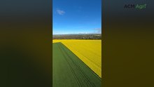 Aerial views capture blooming canola amid biosecurity warnings
