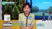 "남편 염장 지를 때마다 도망친 곳이..." 심혜진, 산티아고 순례길만 두 번 다녀온 반전 이유!