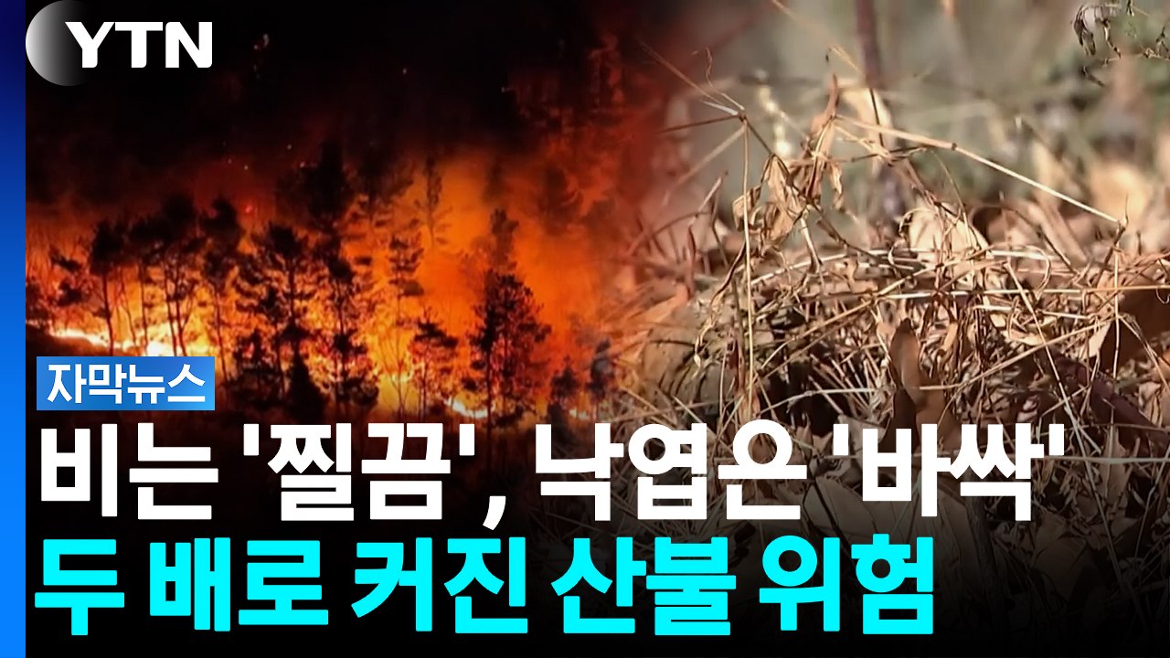 비 안 오자 산 전체가 말랐다...'여름 산불' 초비상 [자막뉴스] / YTN