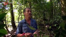 Unexpected Finds @ Expedition Guyana 探索圭亚那