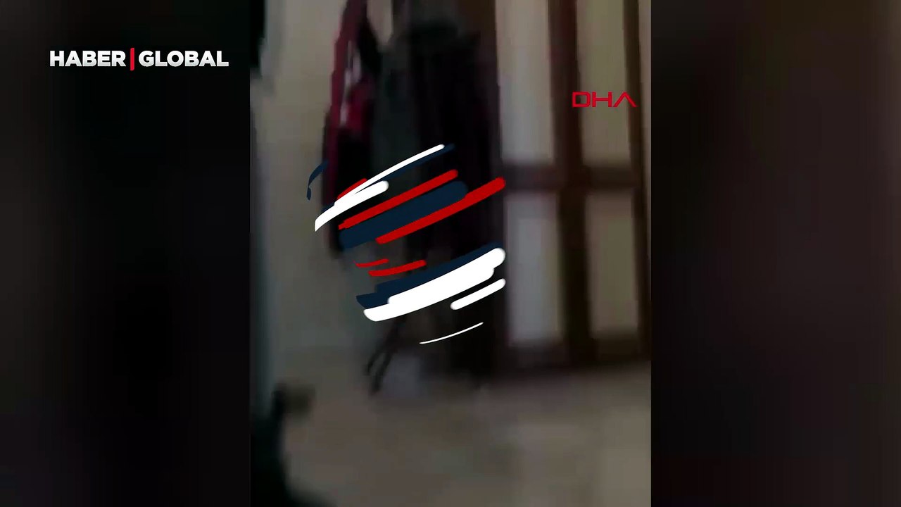 Kaplumbağa vahşeti: Botlarıyla eze eze katletti