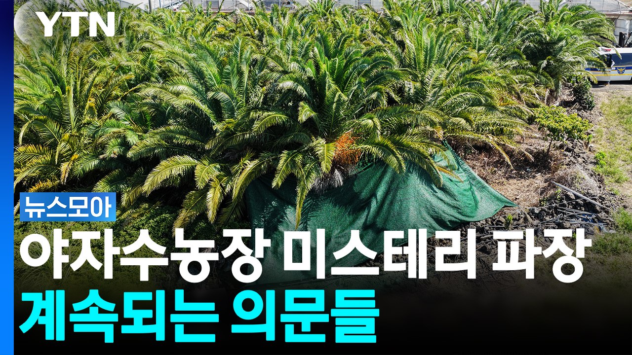 '야자수농장 미스테리' 파장…계속되는 의문들 [뉴스모아] / YTN
