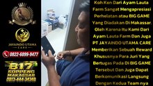 KOH KEN APRESIASI BIG GAME MAKASSAR