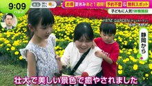 ノンストップ！   動画　2026年8月26日 バラエティ 動画