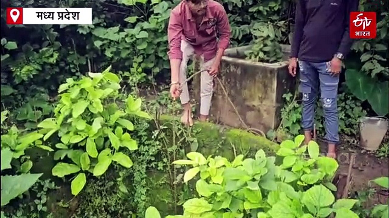 बालाघाट में 50 साल पुराने कुएं से निकल रहा खौलता हुआ पानी! रहस्य सुलझाने में जुटे एक्सपर्ट