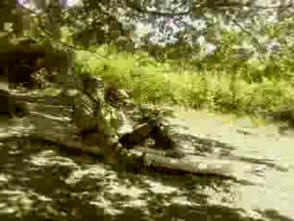 rasta rockett partie 2