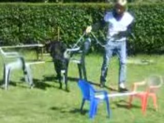 Bueno Agility les debuts