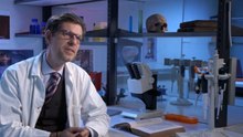 L'histoire au scalpel
