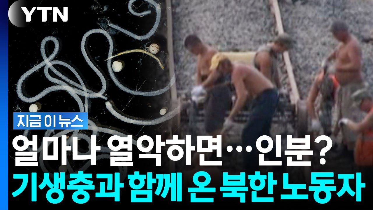 북한 노동자 들어오자 감염 '폭증'…러시아 마을 비명 [지금이뉴스] / YTN