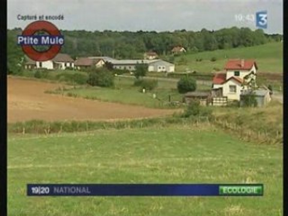 Cherche commune désespérémment