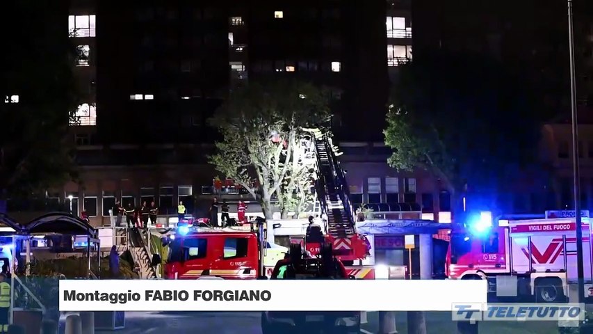Video News - Uomo sale su un albero al Civile e ci resta per più di 2 ore
