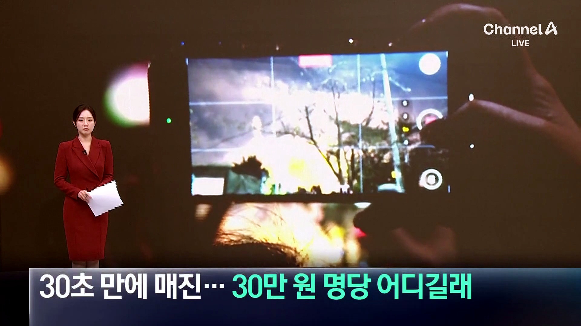 30초 만에 매진…불꽃축제 30만 원 명당 어디?