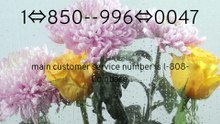 ¿【24/7】™ COINBASE WALLET Support Numbers in the USA: Everything Explained{{COINBASE WALLET Toll Free Numbér}} cyz¿【24/7】™ COINBASE