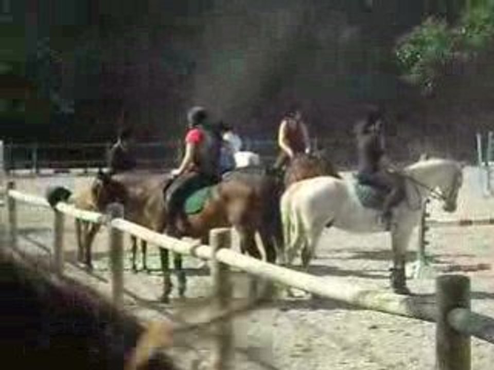 SAut